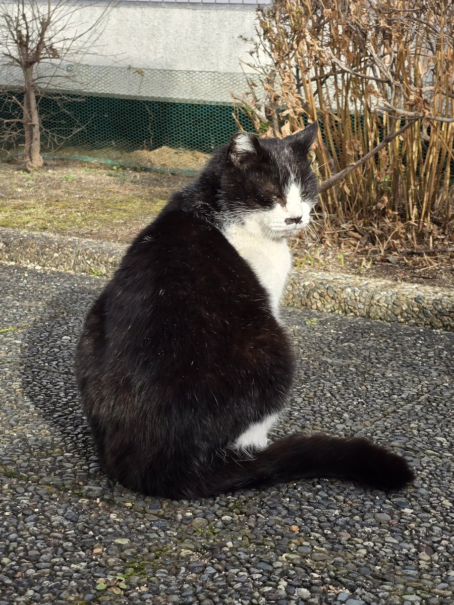 noblemindedness's tweet photo. みんな、ありがとうな
元気でな https://t.co/lTaTQwU7GY