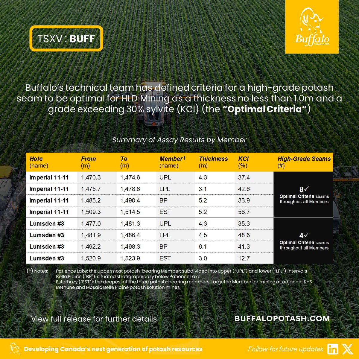 Buffalo Potash Corp (TSXV: BUFF) tweet media