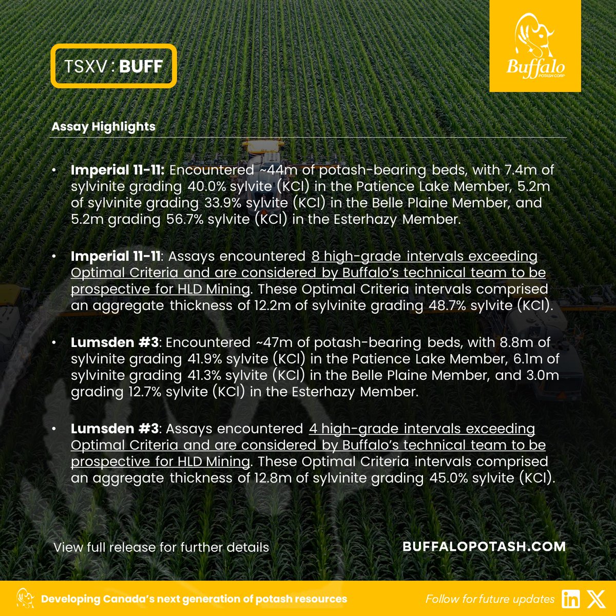Buffalo Potash Corp (TSXV: BUFF) tweet media