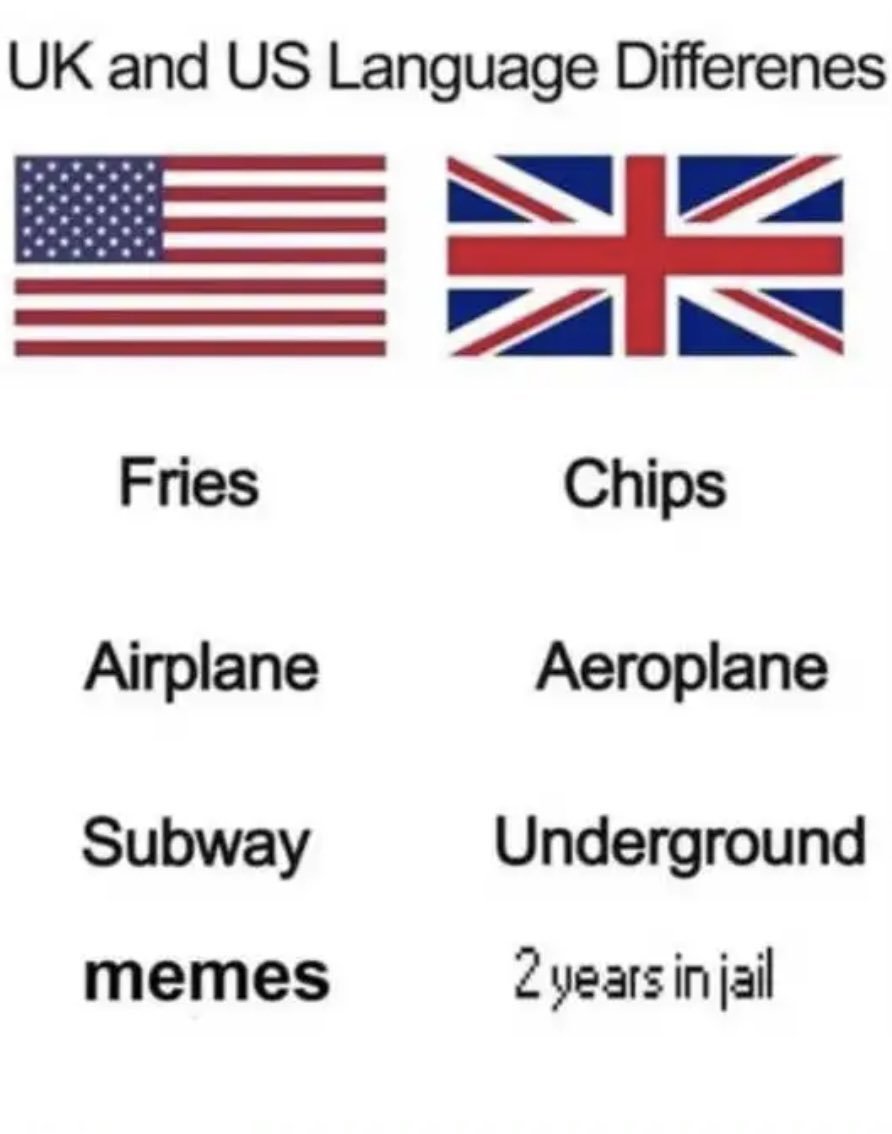 Bingo Bandit tweet media