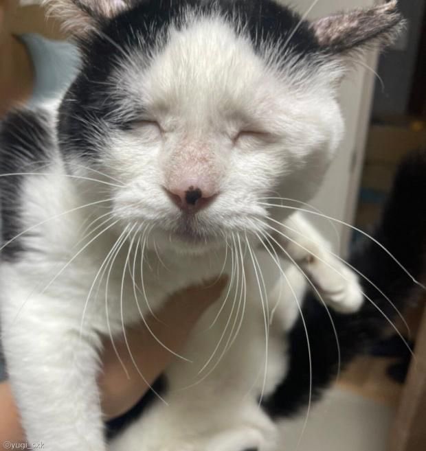 디엠좌 tweet media