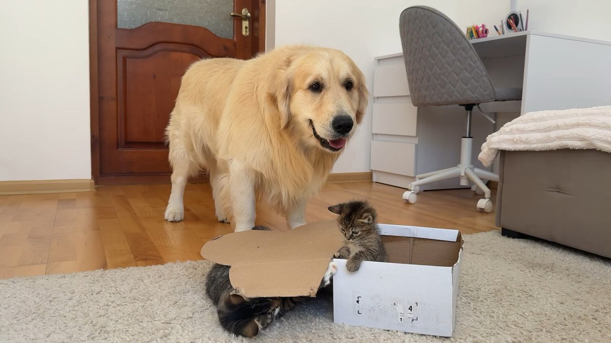 Drawing Is My Life tweet media