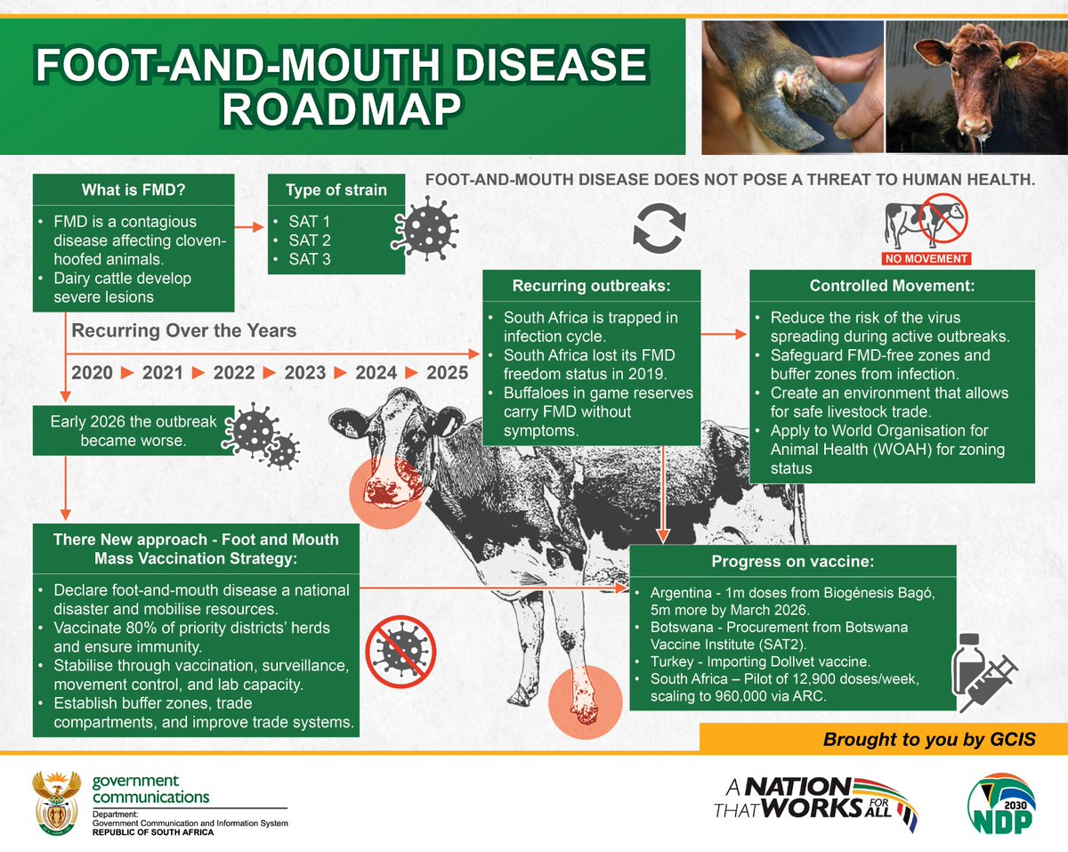 GovernmentZA's tweet image. Foot-and-Mouth Disease roadmap ⬇️
#GovZAUpdates #FMD