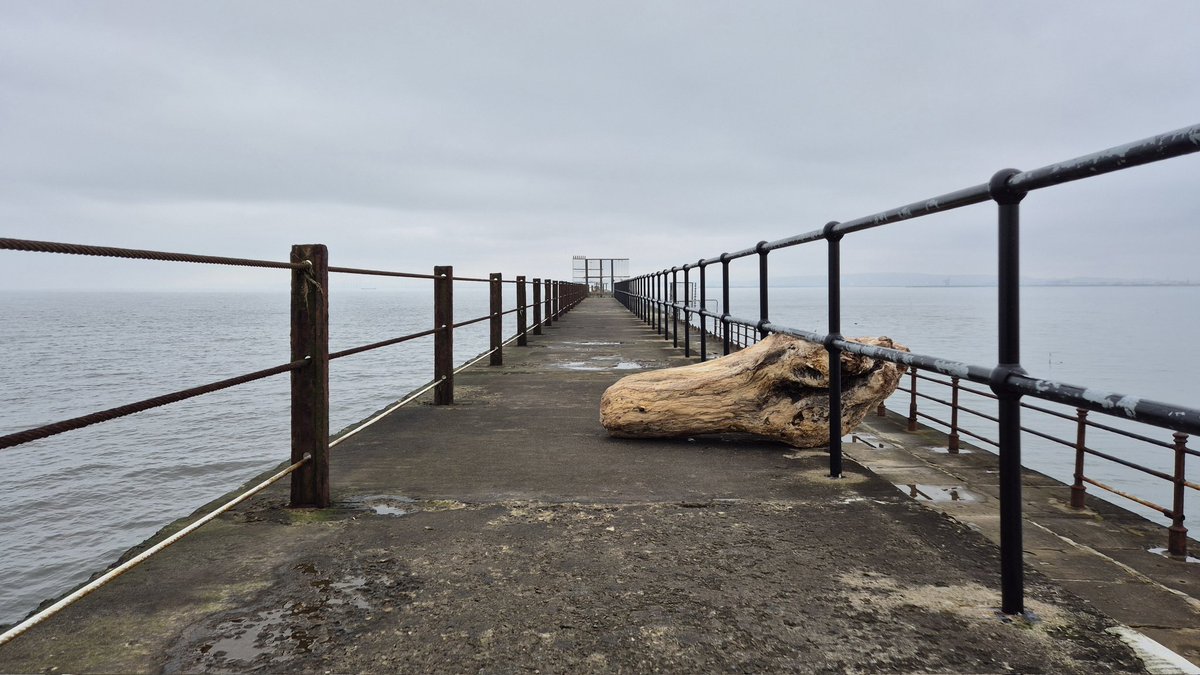 bacondust🇺🇦 tweet media