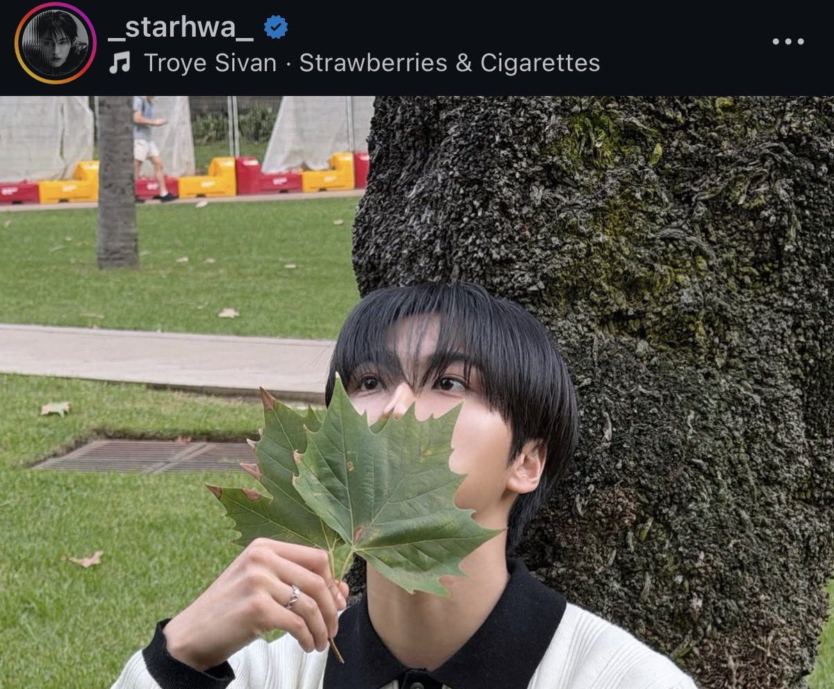 Troye Sivan, ring on the 4th finger, that can only mean one thing …