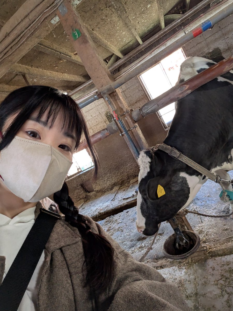 p_korobe's tweet photo. 牧場に行ってきました！
去年は大丈夫だったのに、今年は花粉がきてる(>_<) https://t.co/e8nyCuEdBj