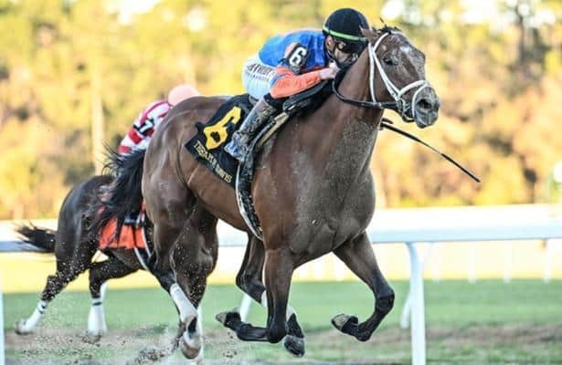 Flattery will get you everywhere! There may not have been a Kentucky Derby winner running, but last weekend's preps flattered both RENEGADE and CHEROKEE NATION🌹🌹🌹
horseracingnation.com/blogs/zatt/Ken…