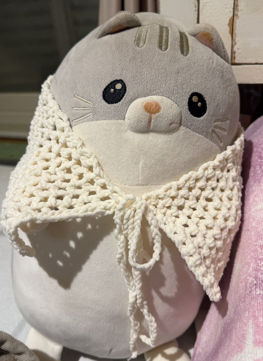 寒い日はお家でゆったりです！！
今日は最近お母さんに習ってずっと編み物をしてたのでうちのぬいぐるみのにゃんたにポンチョを作りましたー！🧶
次はもうちょっと上手に作るからね、！！