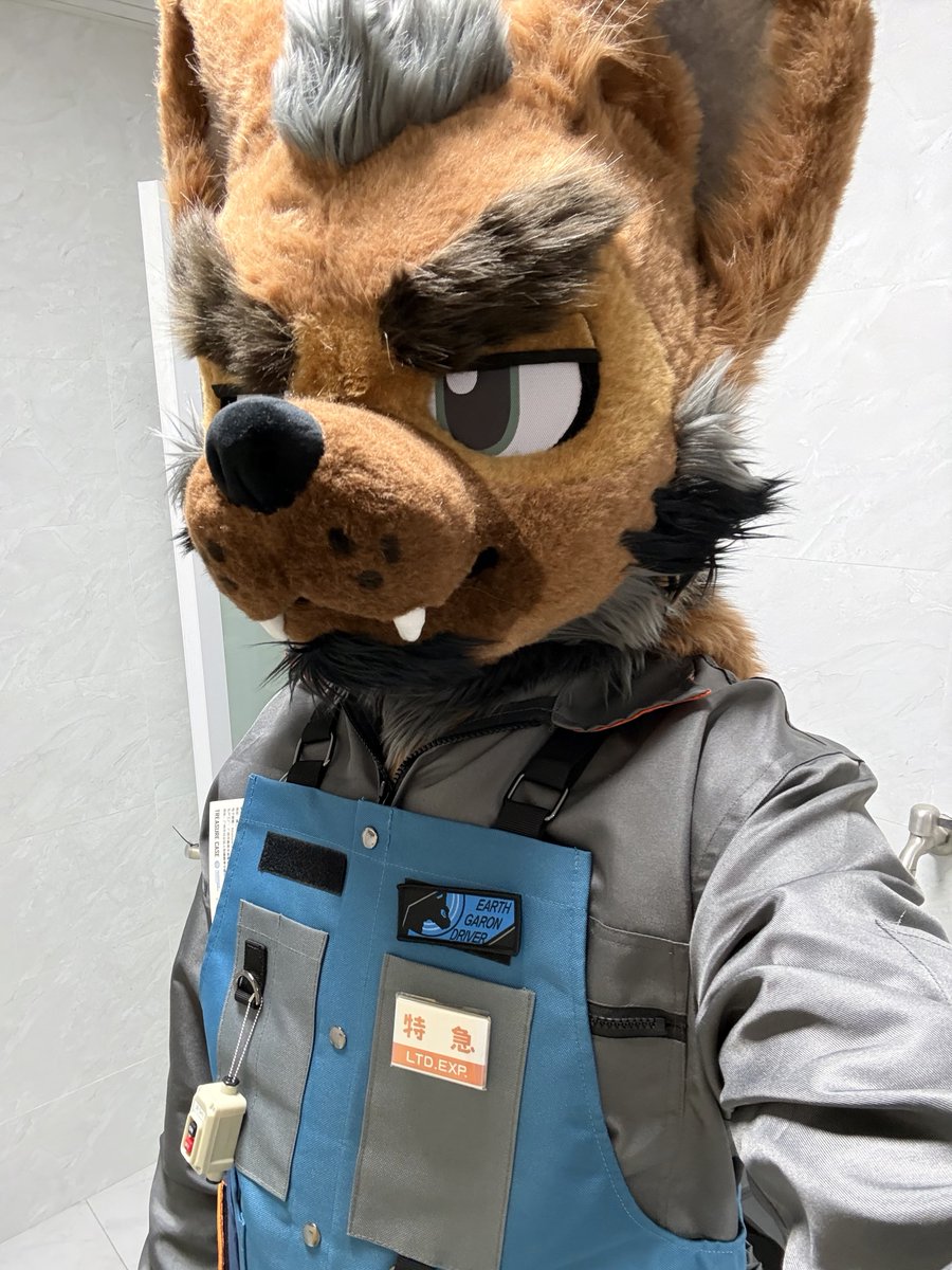 Metro The Dog tweet media