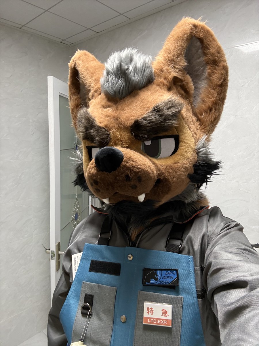 Metro The Dog tweet media