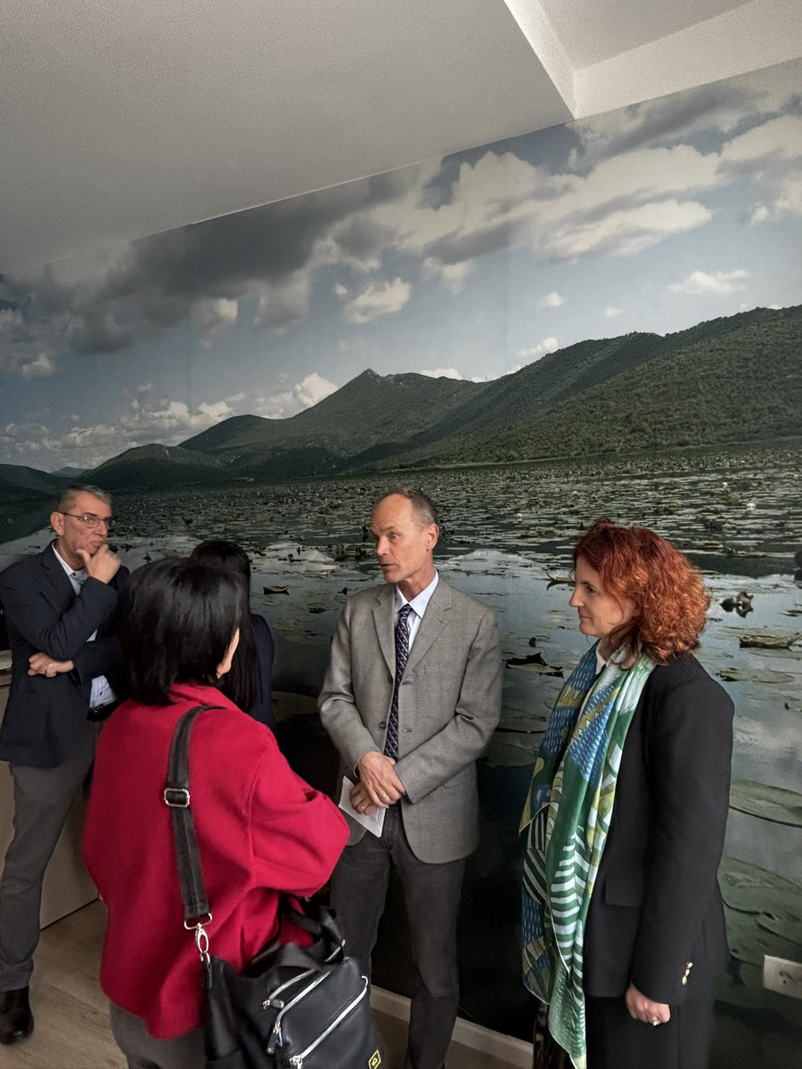 OSCE Mission to BiH 🇧🇦 tweet media