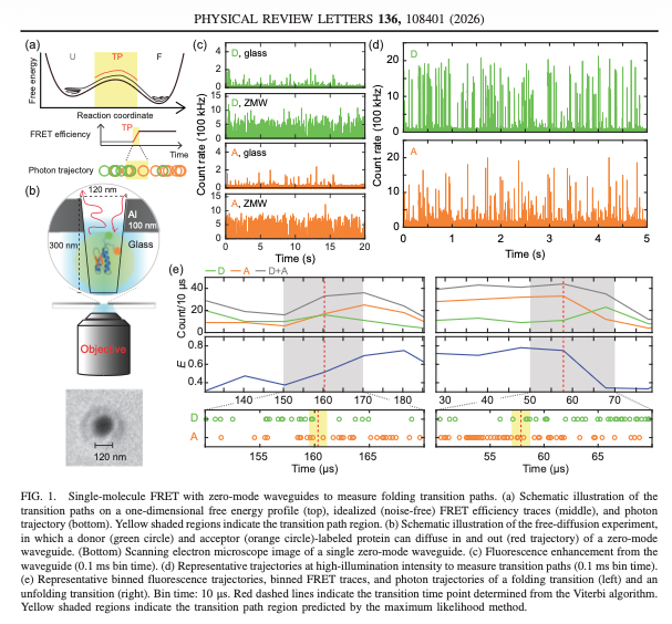 Niko McCarty. tweet media