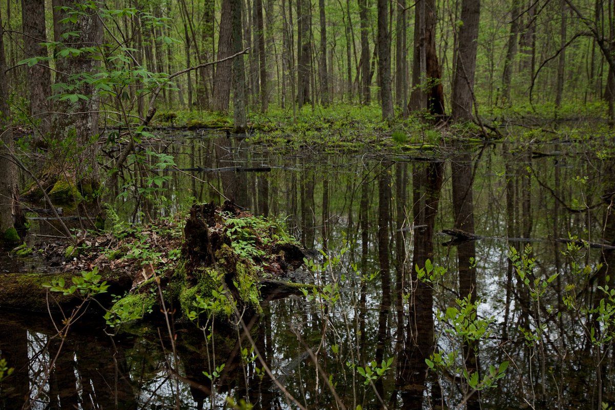 Ohio Div of Wildlife tweet media