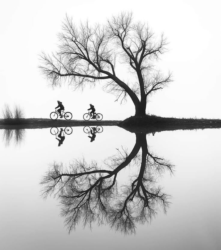 🌿🌷 Essentia 🌿🌷 tweet media