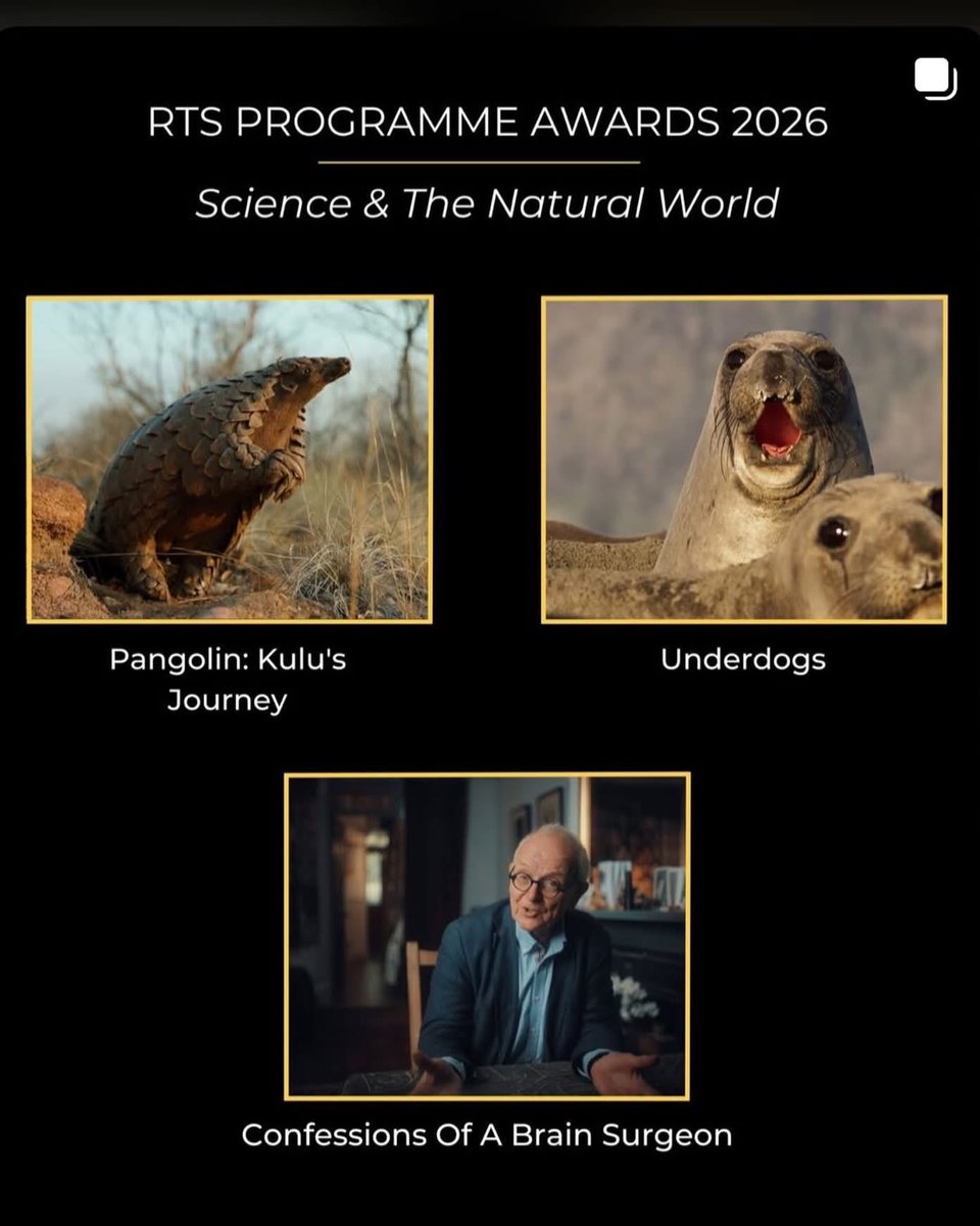 DNA Music Limited tweet media