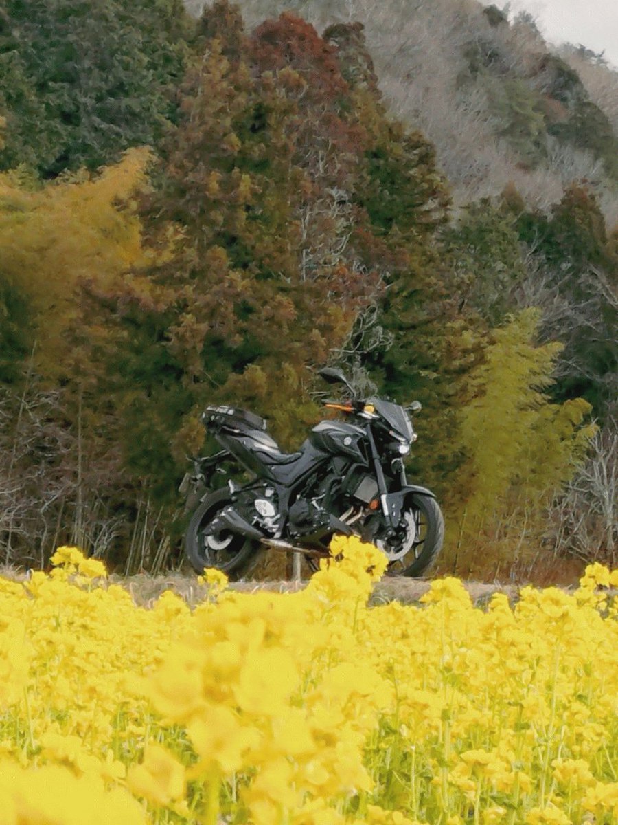 いやだ。まだ30代前半の気分なのに。