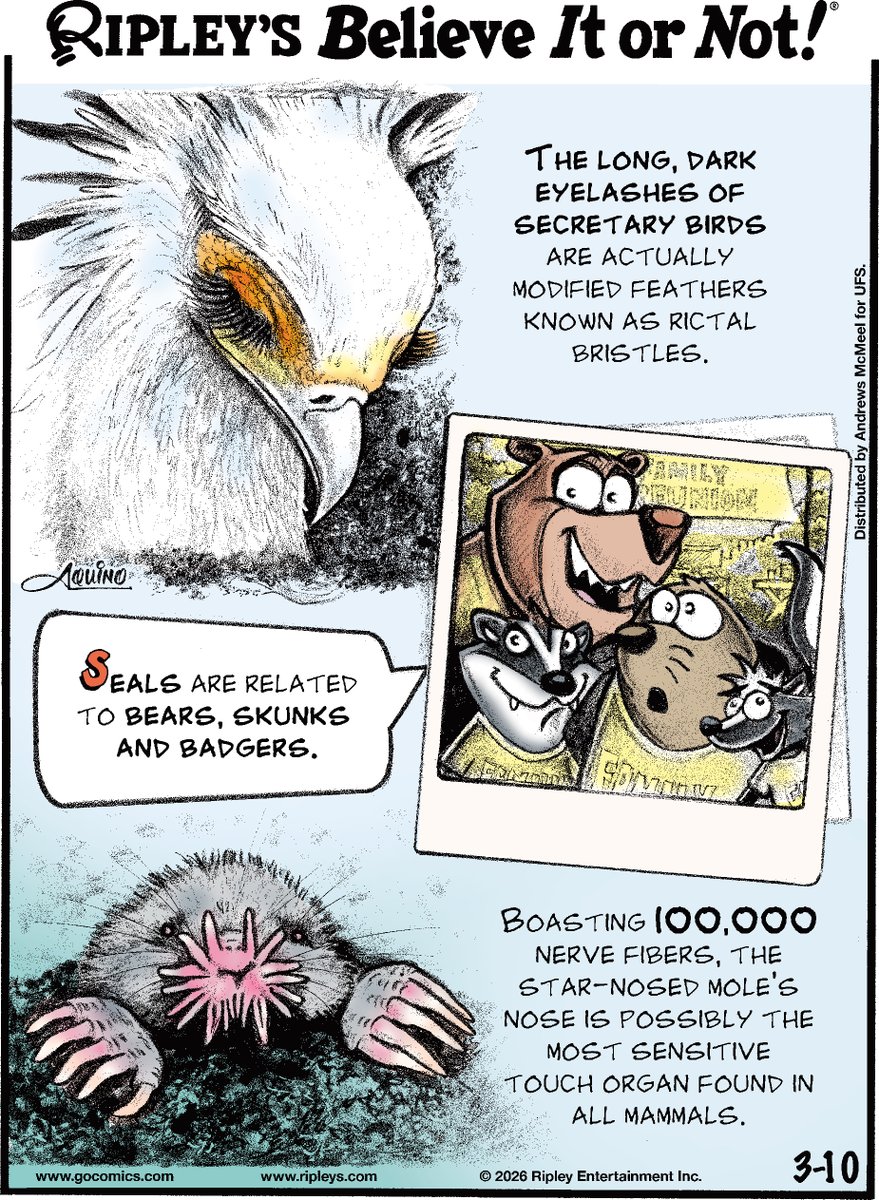 Ripley's Believe It or Not! tweet media