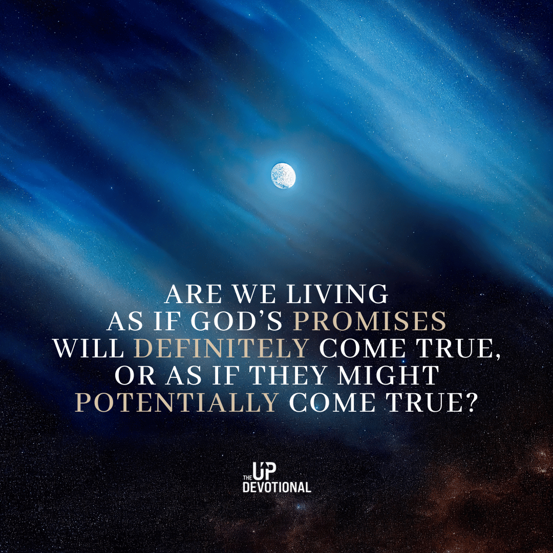 Matthew Ruttan tweet media