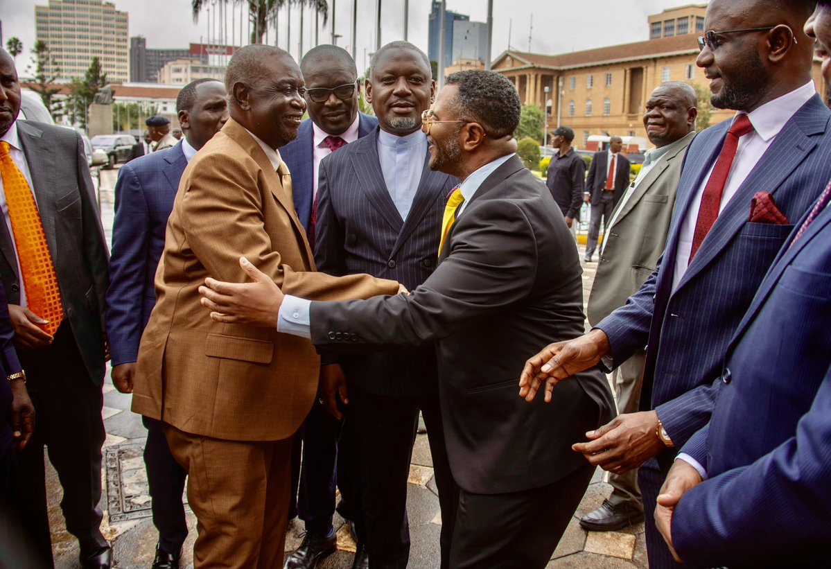 Otiende Amollo, SC,MP, EBS tweet media