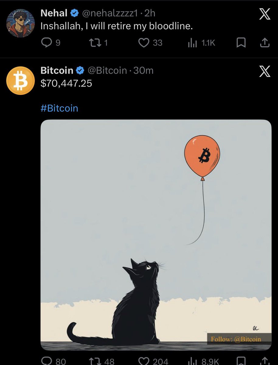 VECTOR PRIME tweet media
