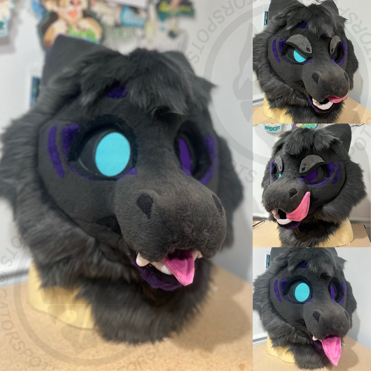 GATORSPOTS tweet media