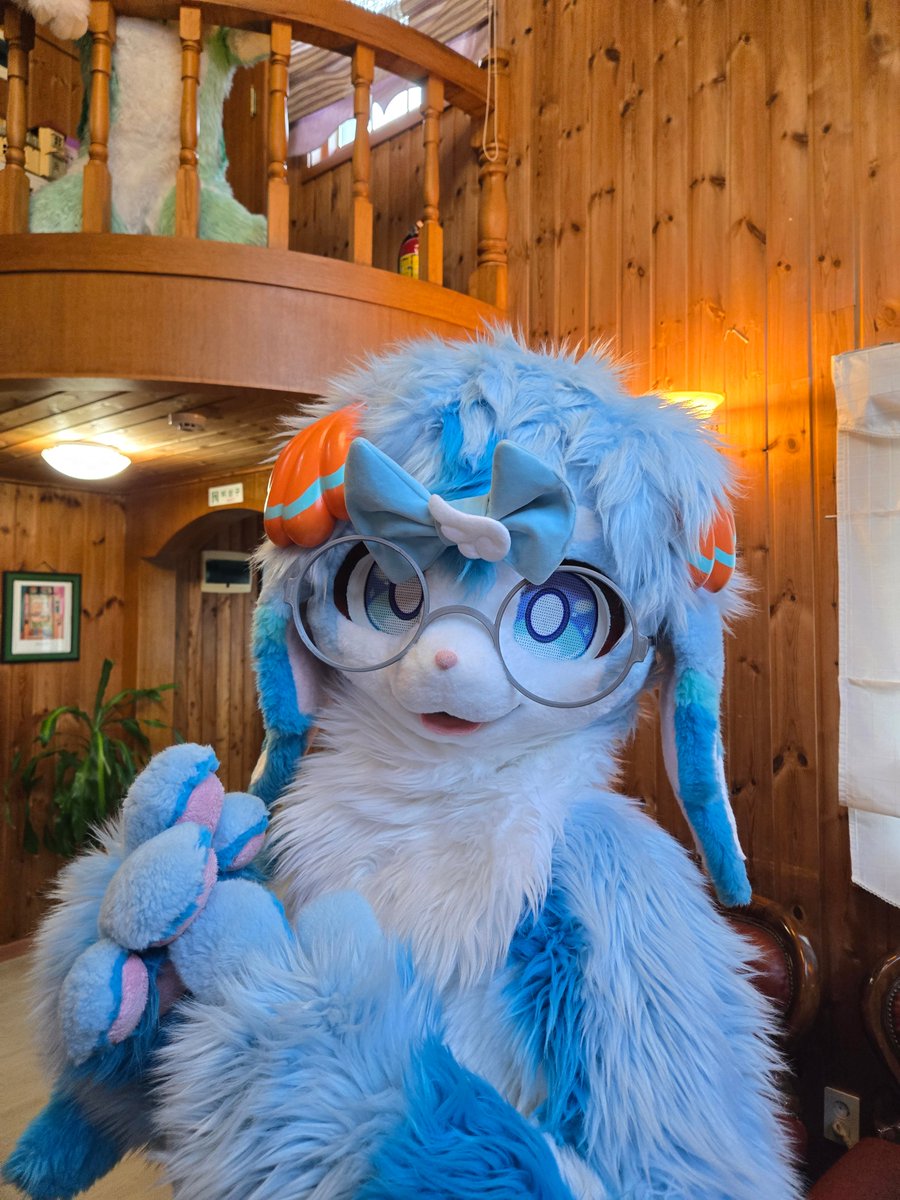 첨벙이 Splash 🦈 tweet media