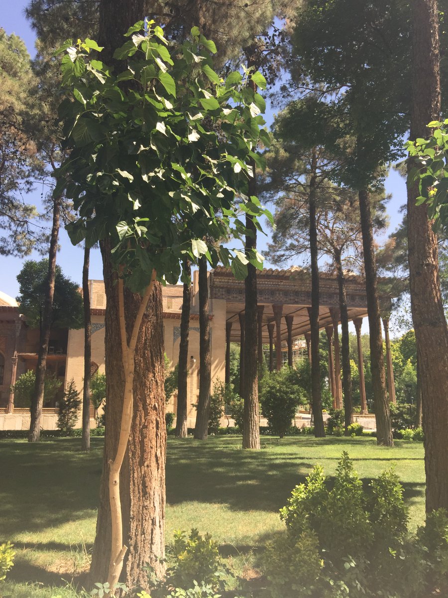 BrammerAyse's tweet photo. I still remember the rush of emotions when I first stood before Chehel Sotoon in Isfahan. I know I may be biased, but its beauty is truly unmatched. 

Seeing the images of the damage is so heartbreaking. Places like Chehel Sotoon are not just monuments of one country, they are part of humanity’s shared cultural heritage.