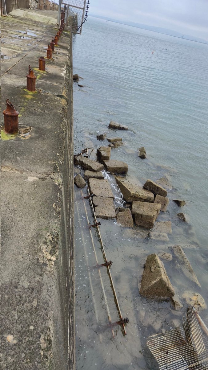 bacondust🇺🇦 tweet media