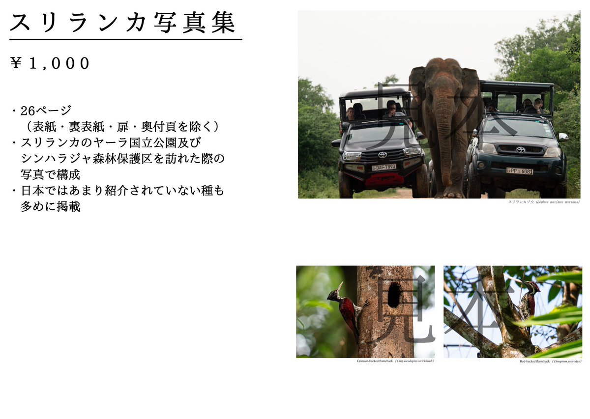 ゐぬKozROCKさんの御厚意で、昨年制作した写真集を #カワけっと3 で並べさせていただける事となりました。ラインナップは昨年と同じ🐟
#カワけっと
#カワスイ

カワけっと詳細はこちら→ shippo.co.jp/neko/kawaketto…