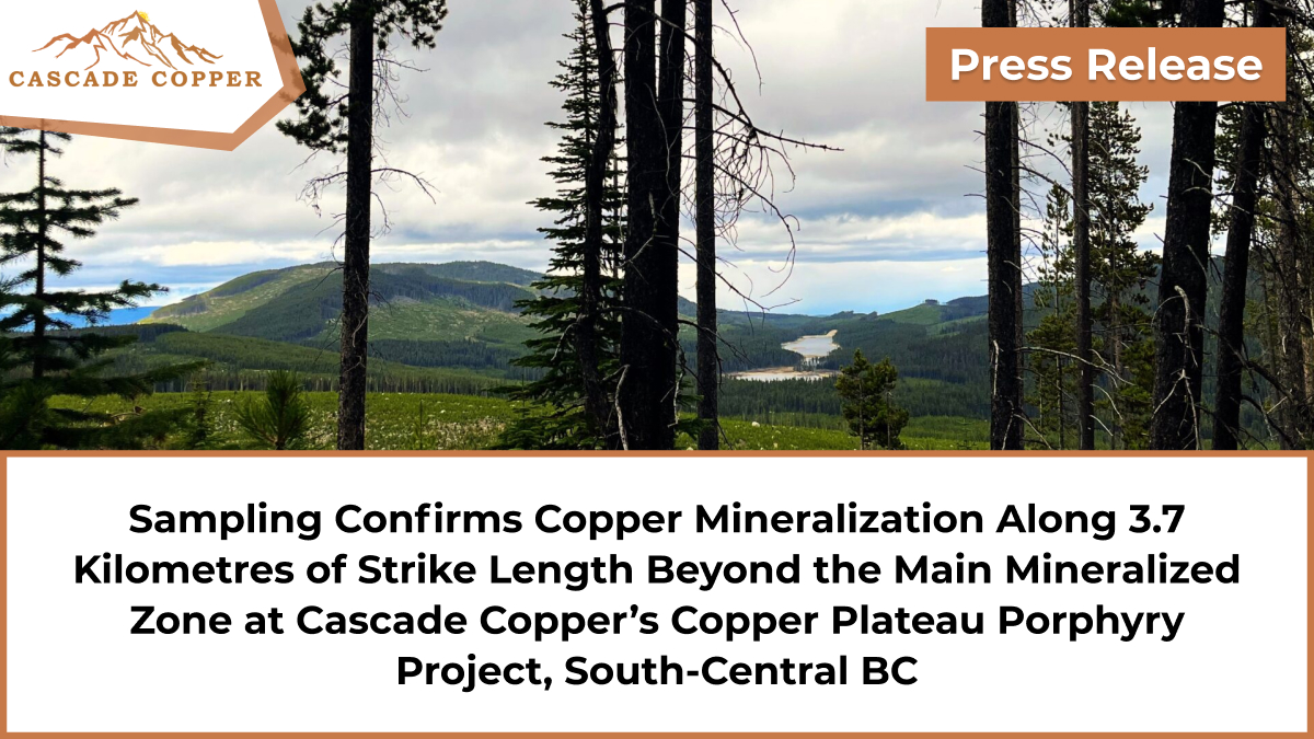 Cascade Copper | CASC.CN tweet media