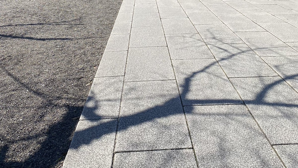 頬骨がパキパキと鳴る往来でまだ来ぬ春と待ち合わせする
『 自由詠 』 有利 #うたの日 #tanka utanohi.everyday.jp/open.php?no=39…

2025/3/10 うたの日、投稿歌

寒の戻り。首都圏では今週金曜に雪が降るかも？❄️
まだまだ冷たい風が吹きますね。

#短歌 #プレイバックうたの日