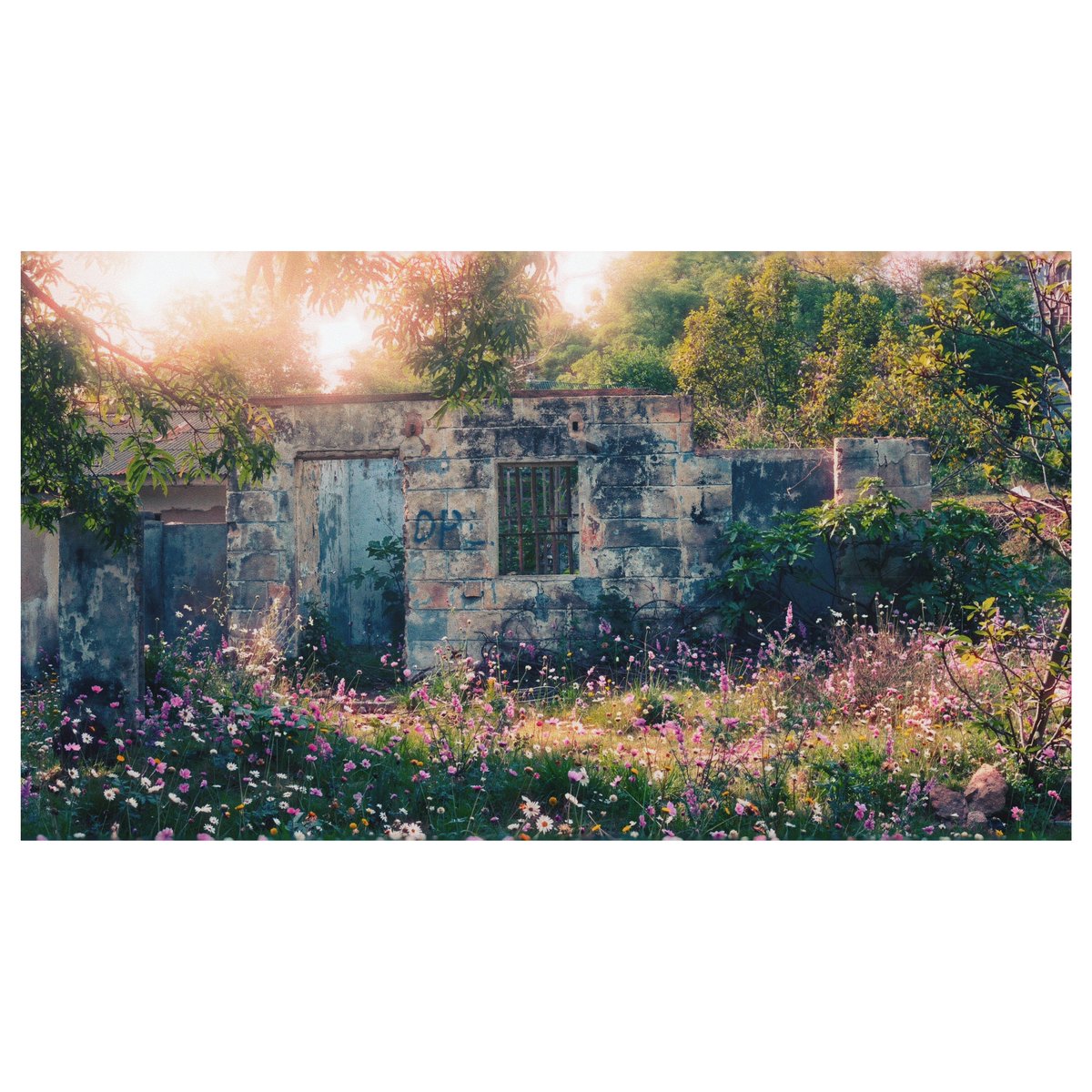 Jpegbyprince™ tweet media