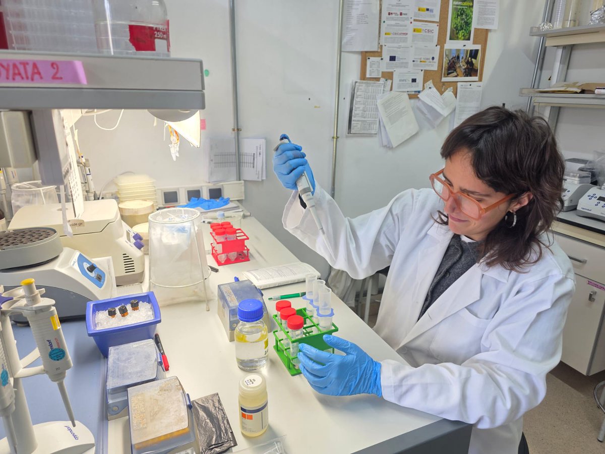 Systems Biotechnology Group tweet media