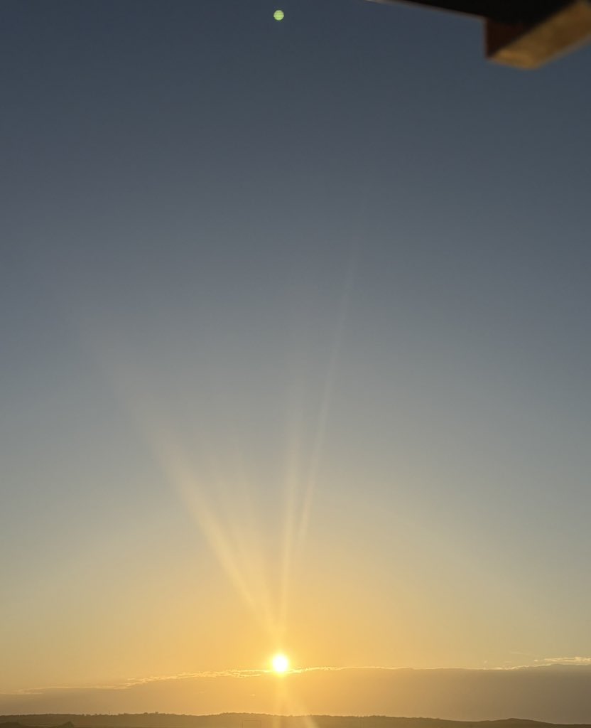 Zenntik 🌩️ tweet media