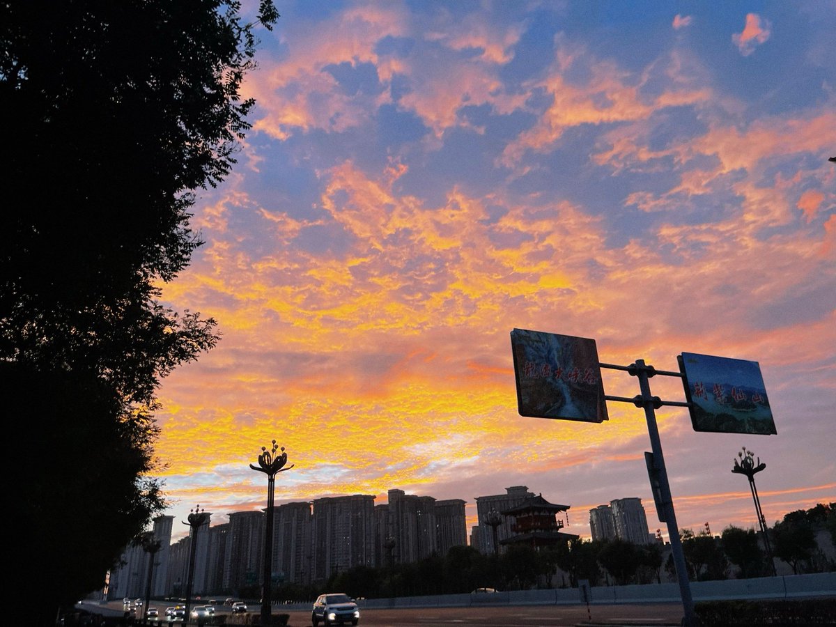 traci molina tweet media