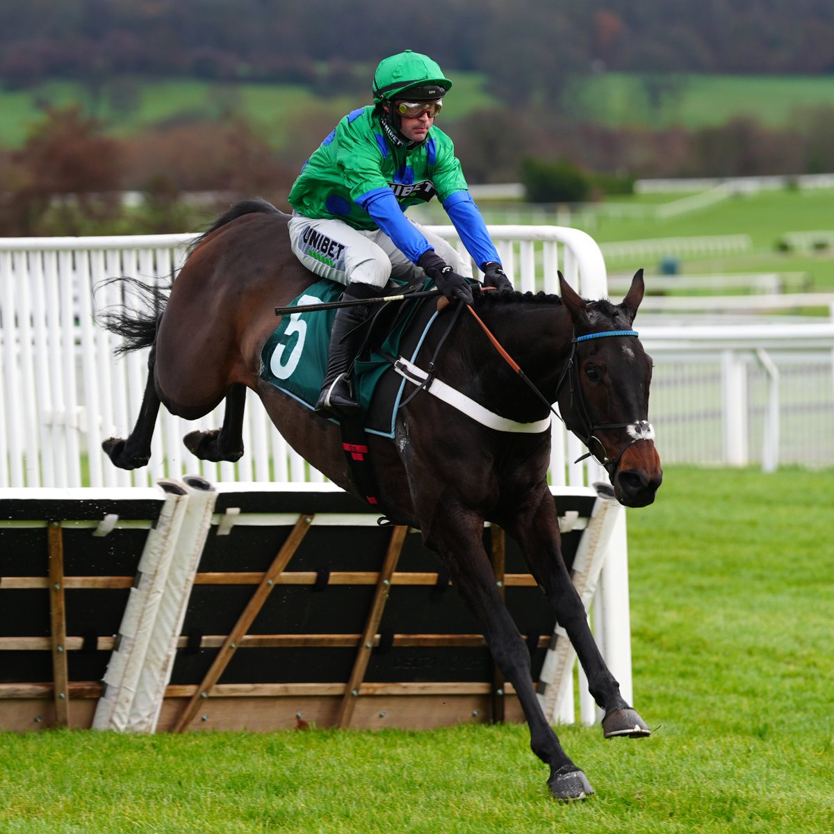 AtTheRaces's tweet photo. OLD PARK STAR STRIKES IN THE SUPREME! https://t.co/ZgSHHrL7hm