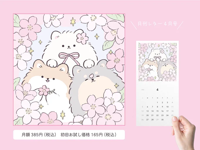 4月の月刊レターを入稿しました!
春の訪れを喜ぶポメたちのイラストです🌸

📮ご購読はこちらから▽
https://t.co/mO845Qer2v 