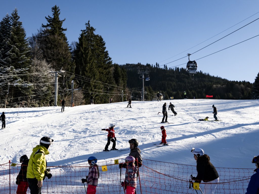 Robert Raia 💙 tweet media