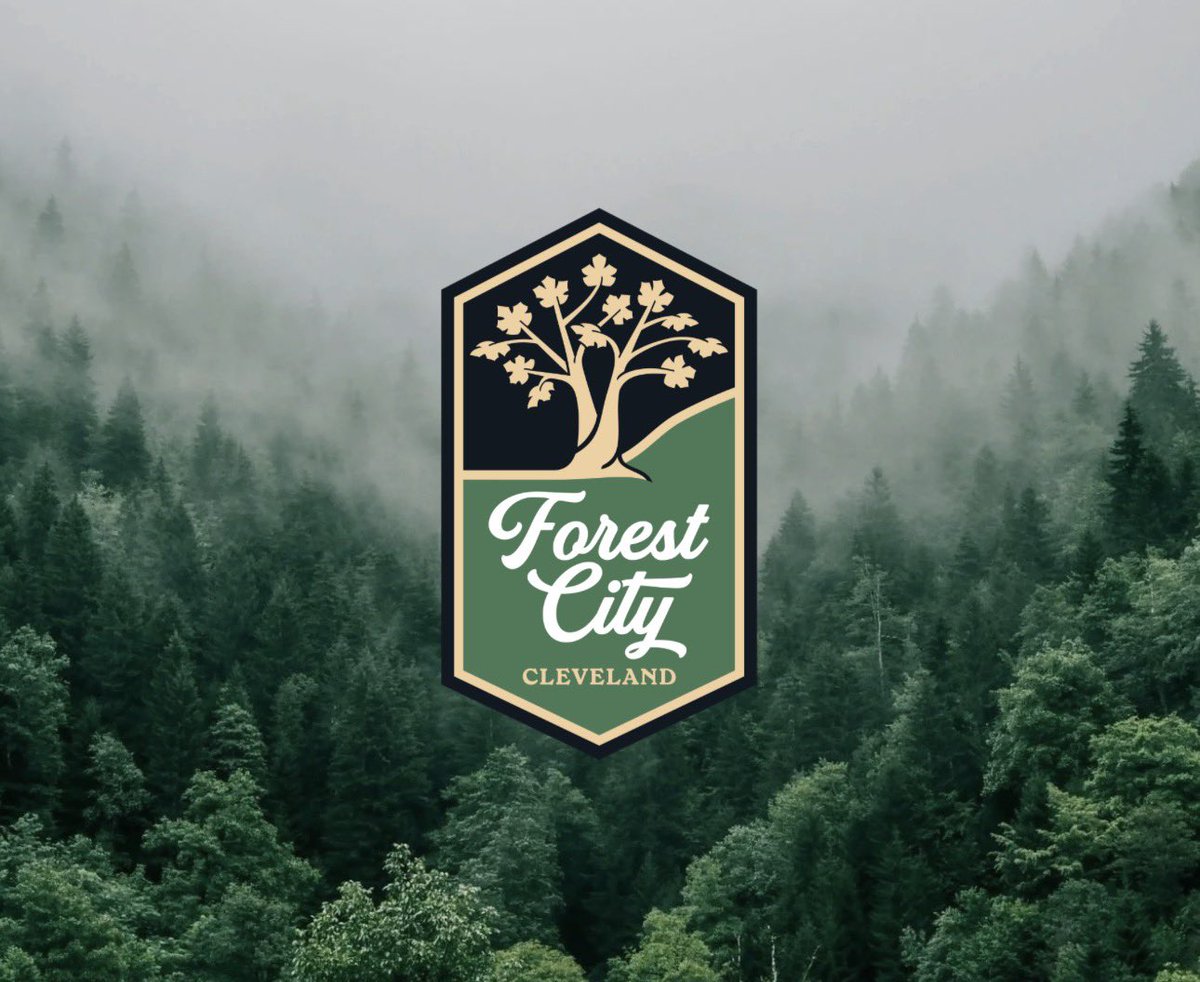 Sarah 🏀 tweet media