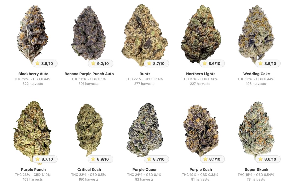 grow.diaries tweet media