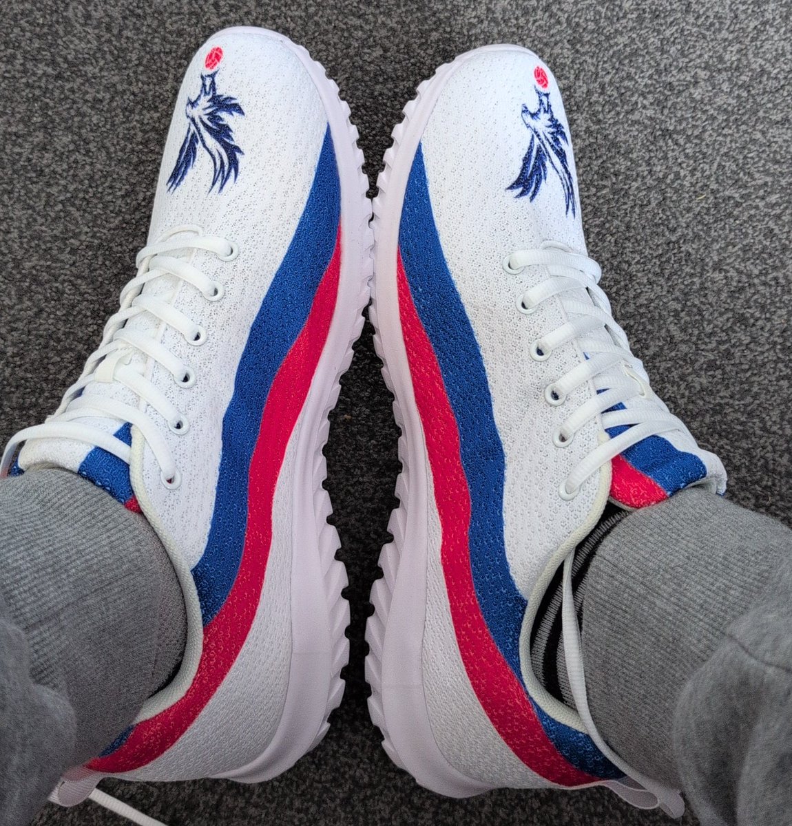 Daniel painter tweet media