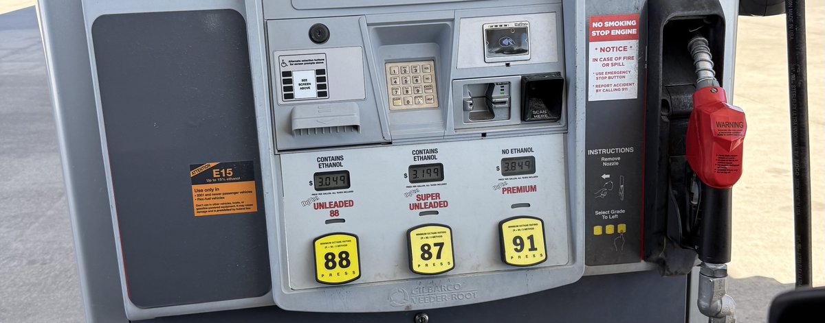 Shannon Textor tweet media