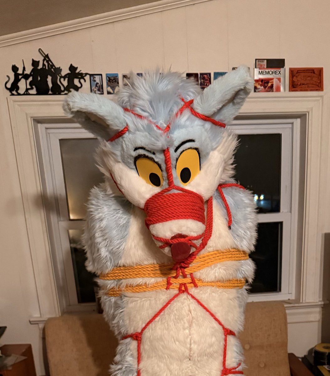 🪢 🔞Shibarki.bsky.social tweet media