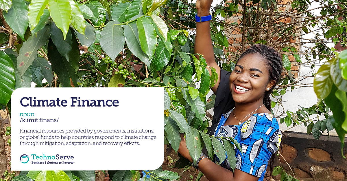 TechnoServe tweet media