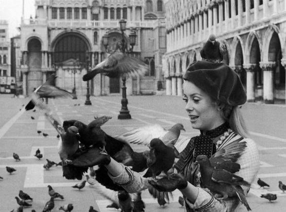 Catherine Deneuve feeding pigeons in Venice, 1967.