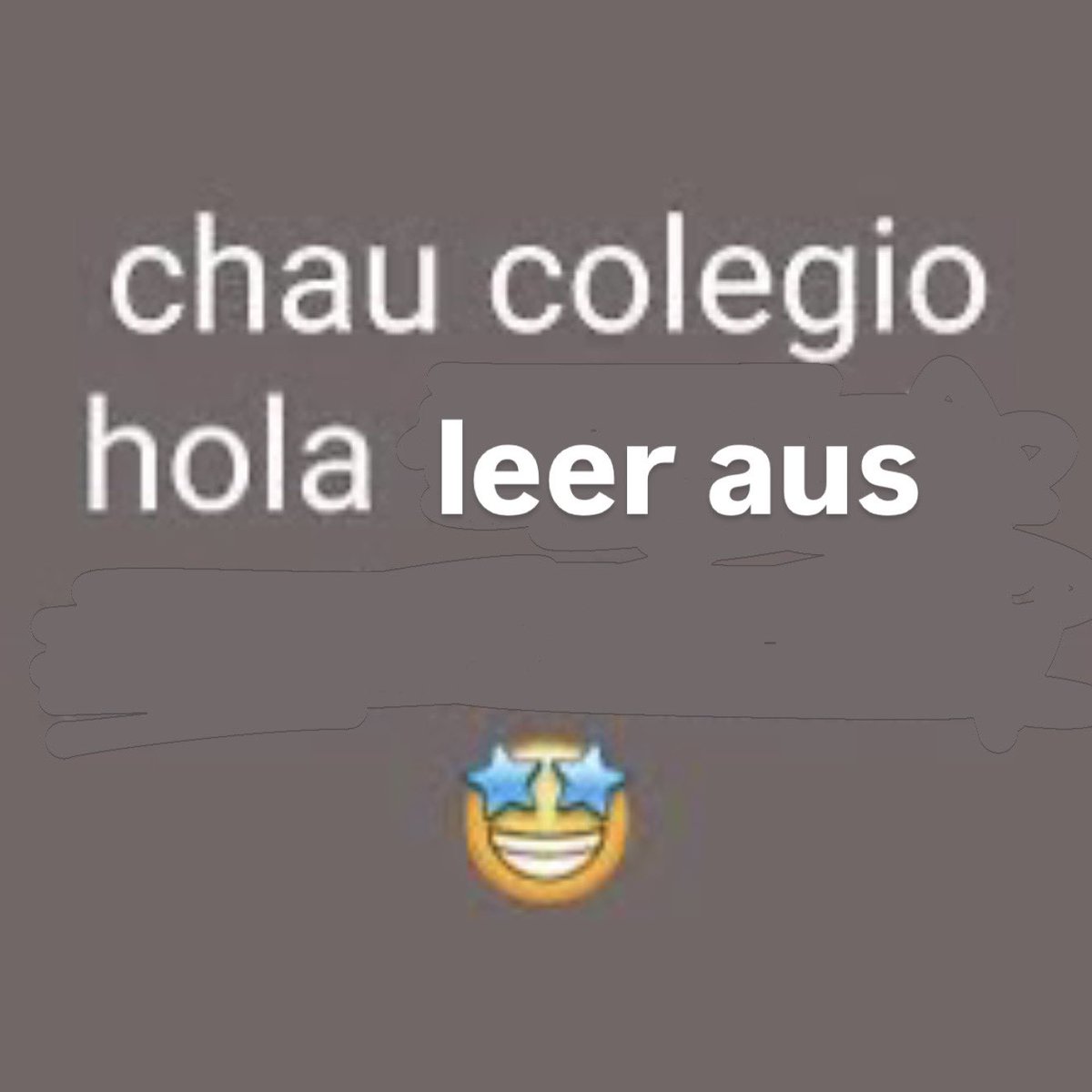 chicos empecé el colegio y no leí ningún au