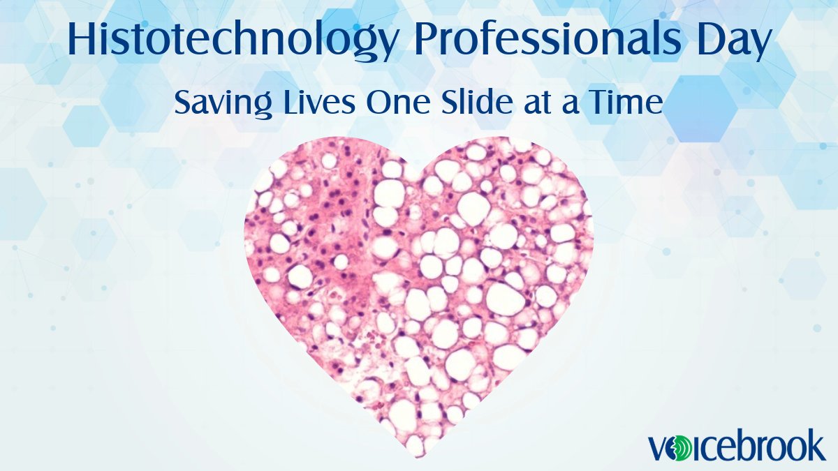 Voicebrook tweet media