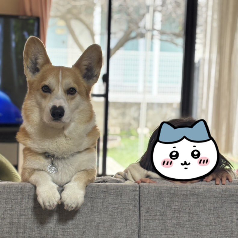 ひなた🐶 tweet media