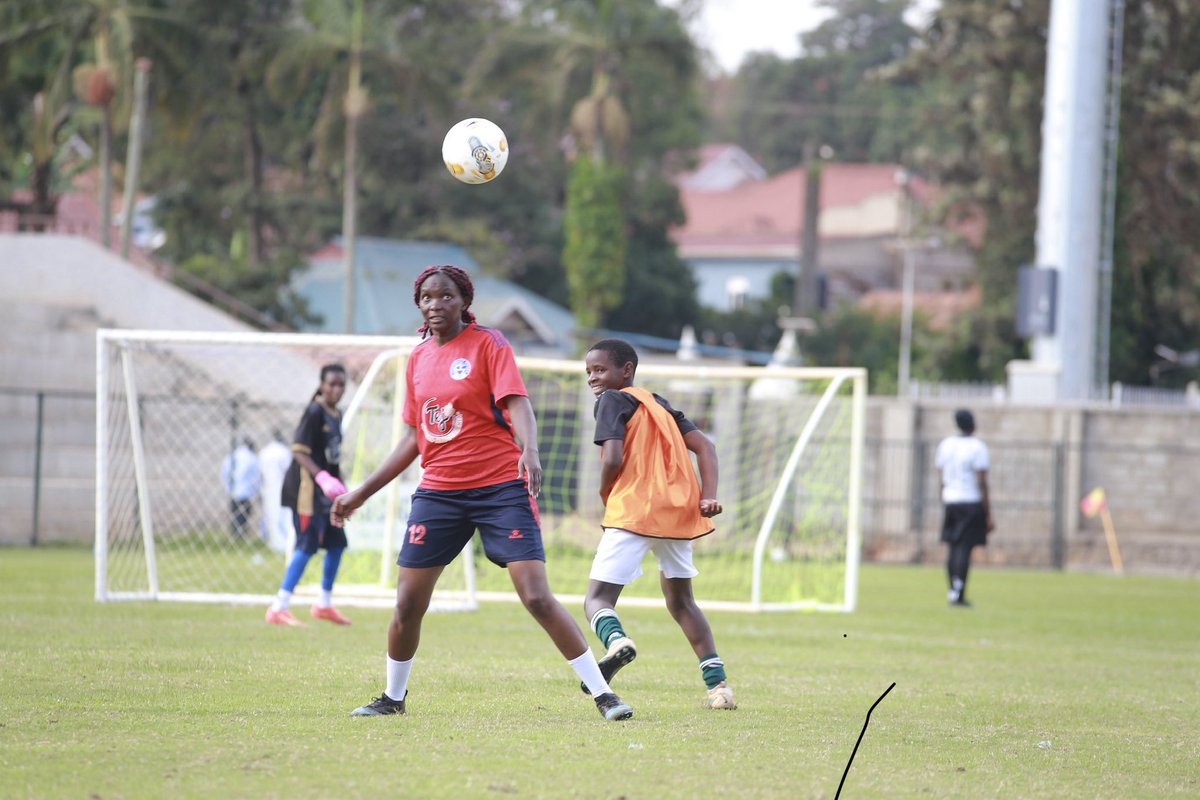 Friends Of Shivan tweet media