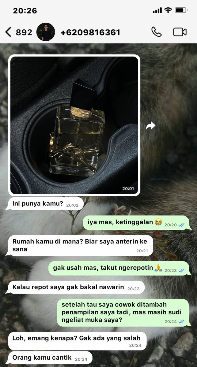 fessthai | เฟสไทย tweet media